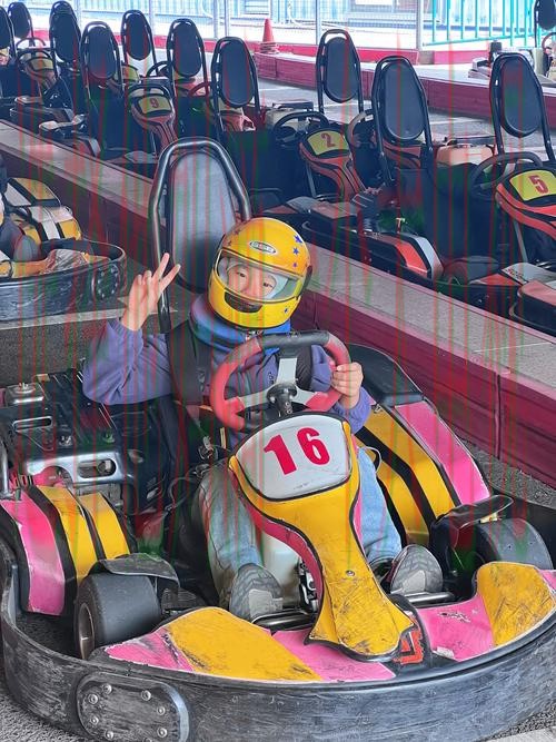 极速体育最新网站：全新体验与功能上线